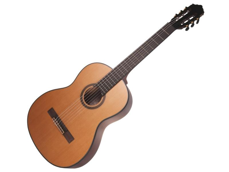 Gitara jako instrument strunowy