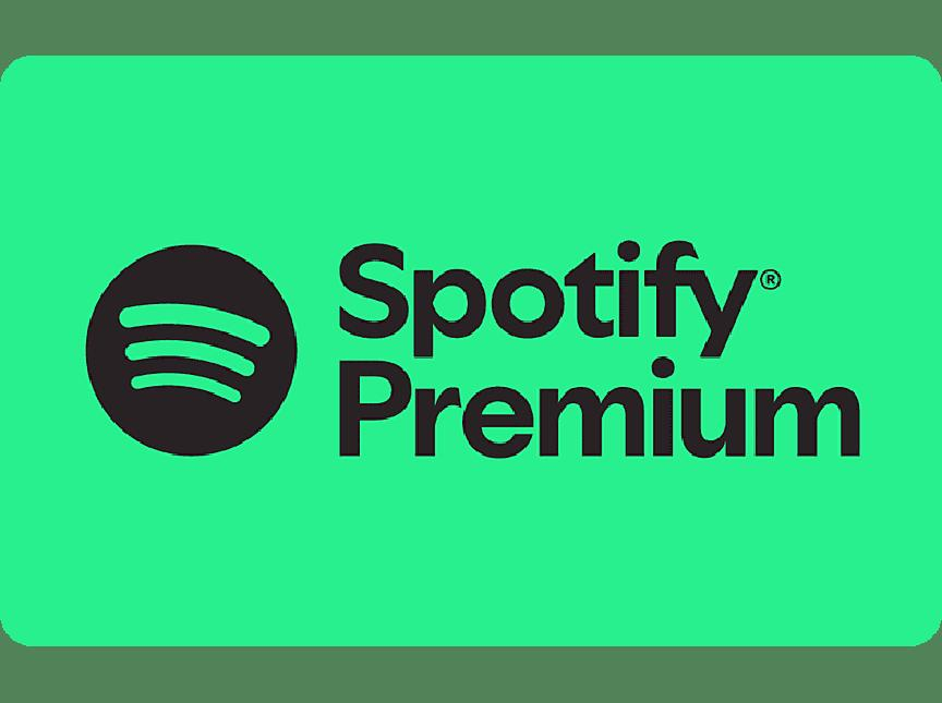 Spotify Premium offline