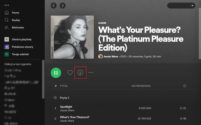 Spotify Premium opcje